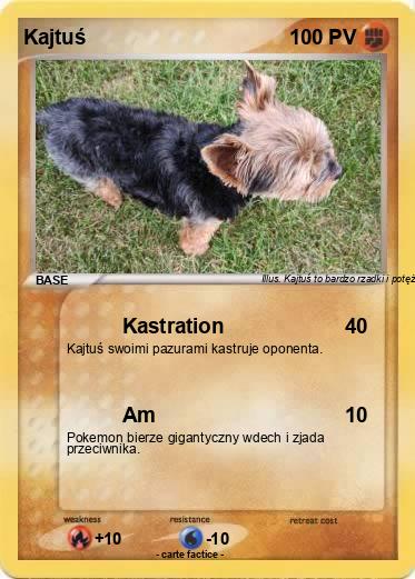 Pokemon Kajtuś