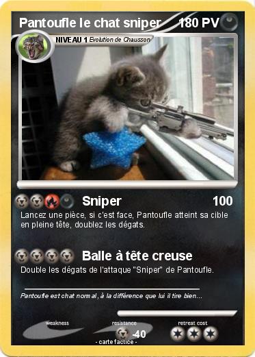 Pokemon Pantoufle le chat sniper