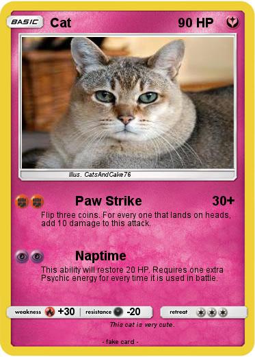 Pokemon Cat