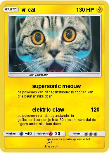 Pokemon vr cat