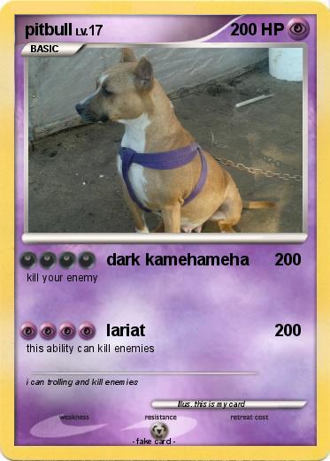 Pokemon pitbull