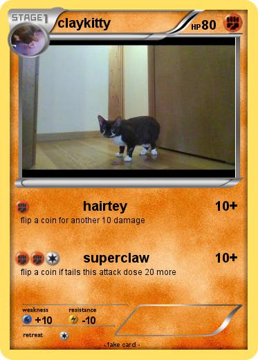 Pokemon claykitty
