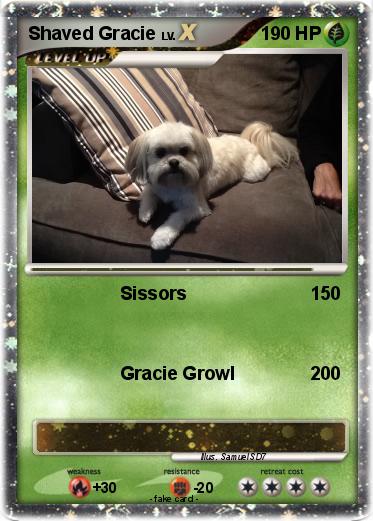 Pokemon Shaved Gracie