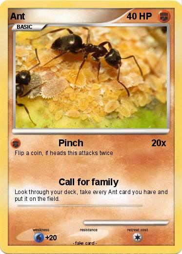Pokemon Ant