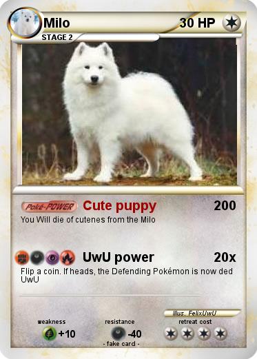 Pokemon Milo