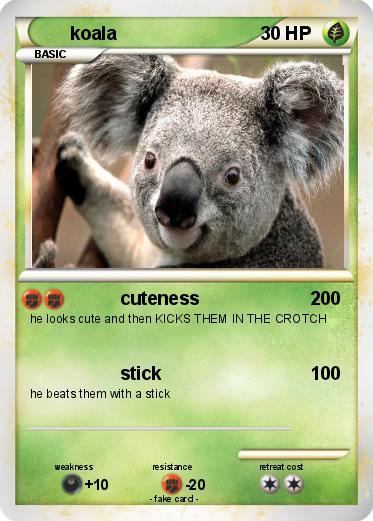 Pokemon koala