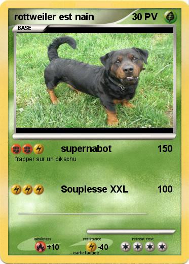 Pokemon rottweiler est nain