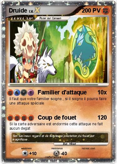 Pokemon Druide