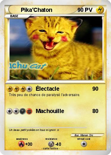 Pokemon Pika'Chaton