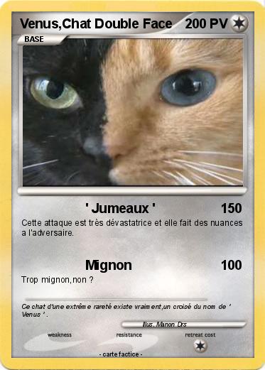 Pokemon Venus,Chat Double Face