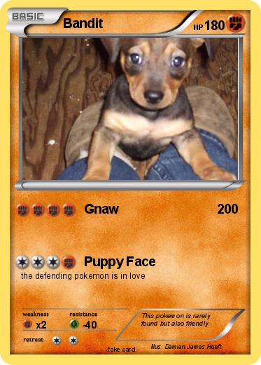 Pokemon Bandit