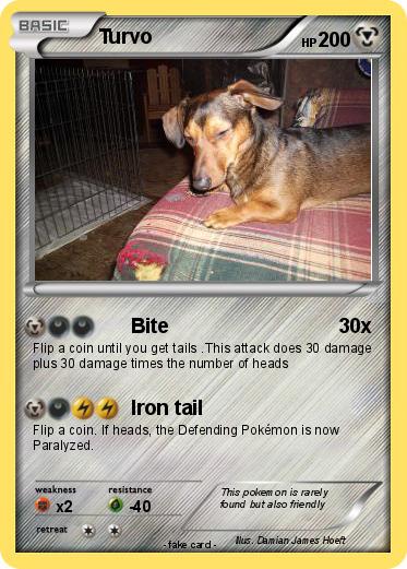 Pokemon Turvo