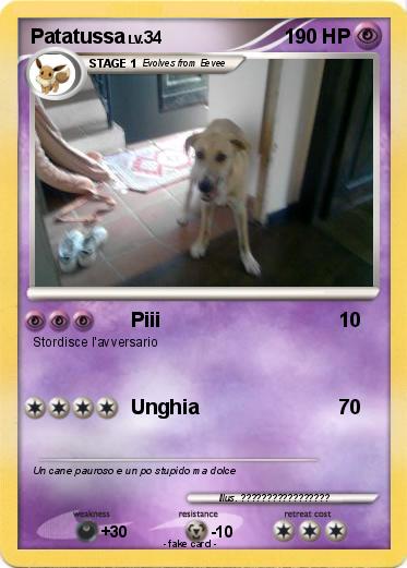 Pokemon Patatussa
