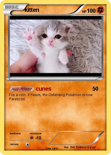 Pokemon kitten