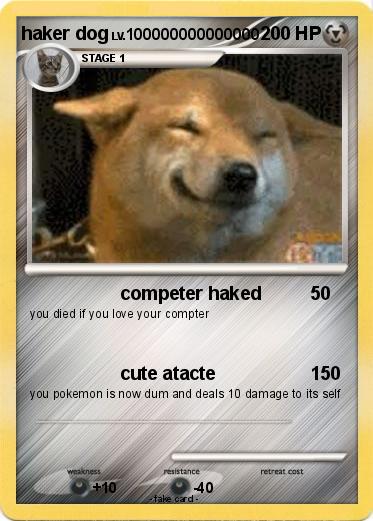 Pokemon haker dog