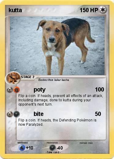 Pokemon kutta