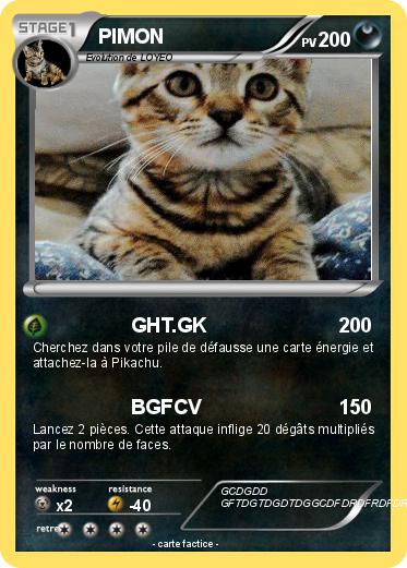 Pokemon PIMON