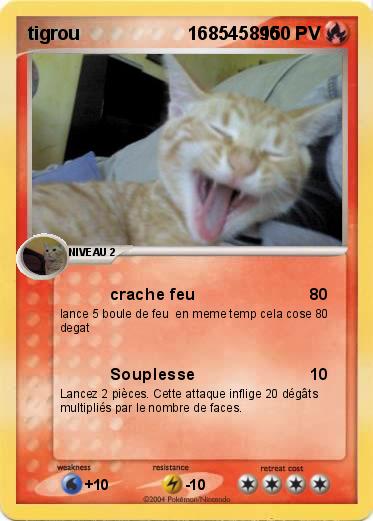 Pokemon tigrou                     168545896