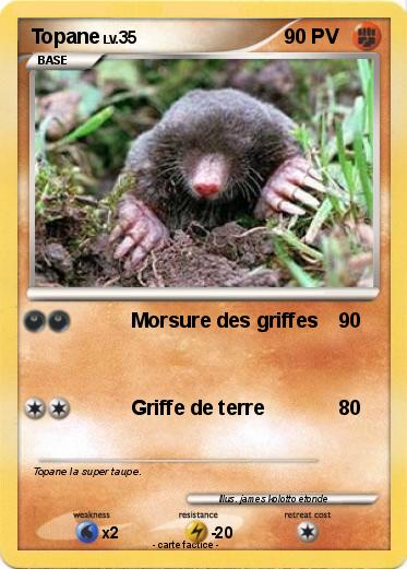 Pokemon Topane