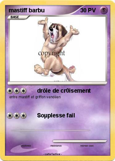 Pokemon mastiff barbu