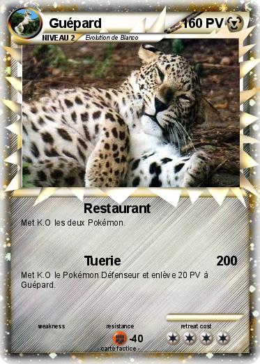 Pokemon Guépard