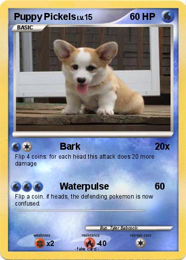 Pokemon Puppy Pickels