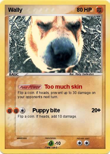 Pokemon Wally