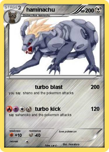 Pokemon haminachu