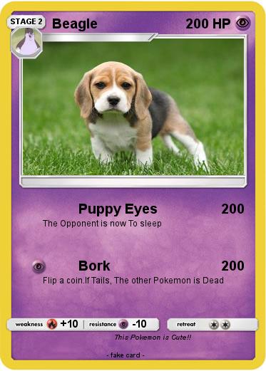 Pokemon Beagle