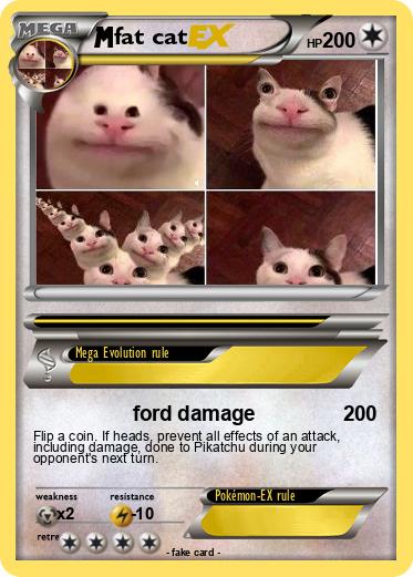 Pokemon fat cat