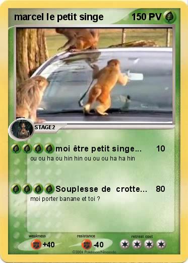 Pokemon marcel le petit singe