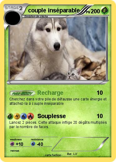 Pokemon couple inséparable