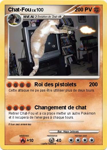 Pokemon Chat-Fou