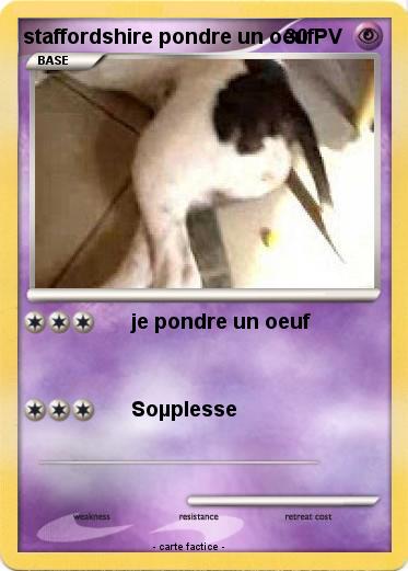 Pokemon staffordshire pondre un oeuf