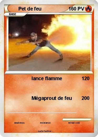 Pokemon Pet de feu