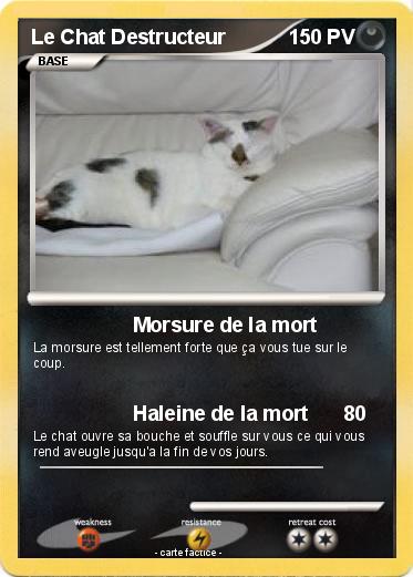 Pokemon Le Chat Destructeur