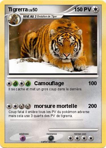 Pokemon Tigrerra