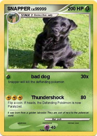 Pokemon SNAPPER