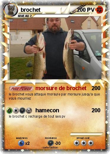 Pokemon brochet