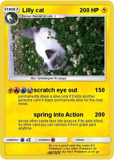 Pokemon Lilly cat