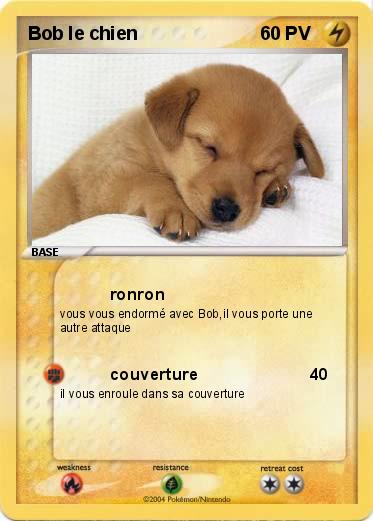 Pokemon Bob le chien