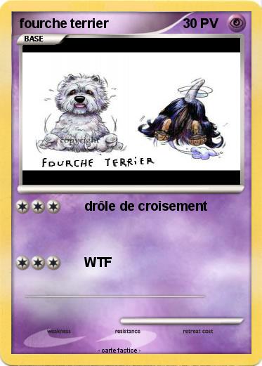 Pokemon fourche terrier