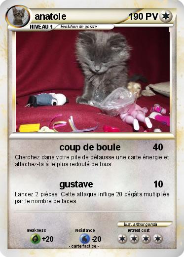 Pokemon anatole
