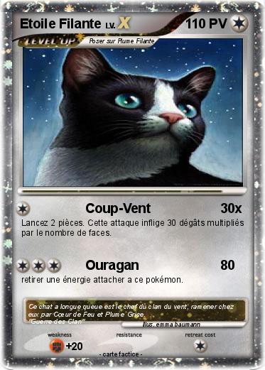 Pokemon Etoile Filante