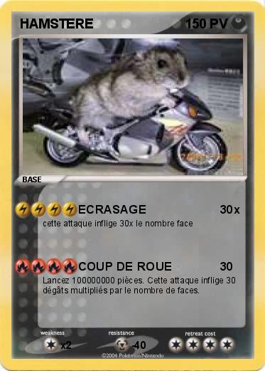 Pokemon HAMSTERE