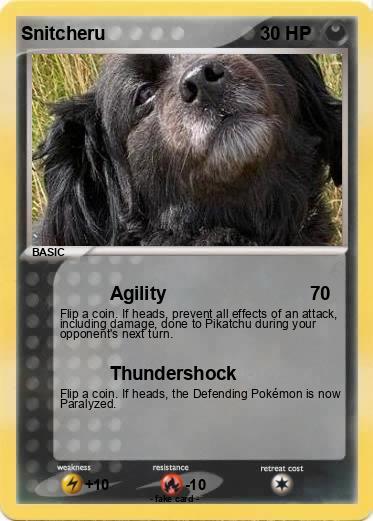 Pokemon Snitcheru