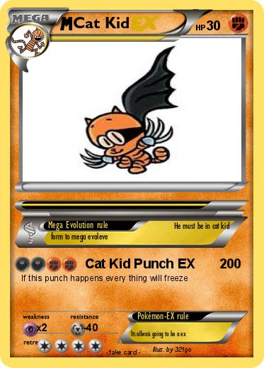 Pokemon Cat Kid