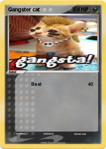 Pokemon Gangster cat