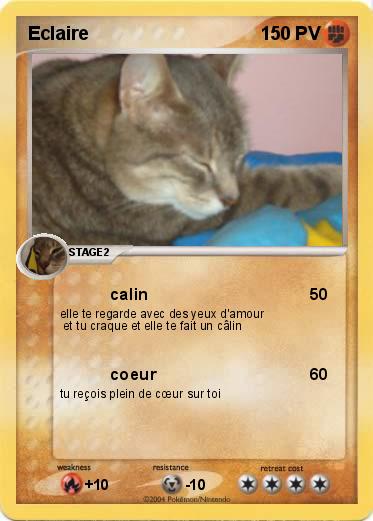 Pokemon Eclaire