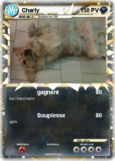 Pokemon Charly